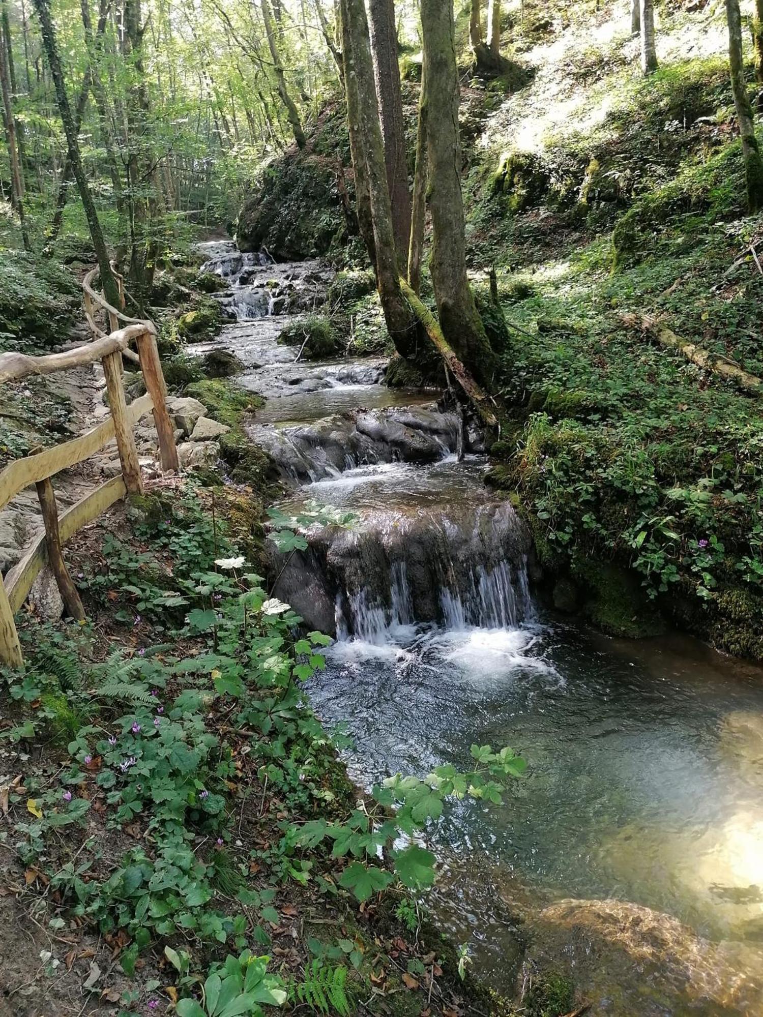 Na Vrtu K25 Hotel Gradac Bagian luar foto
